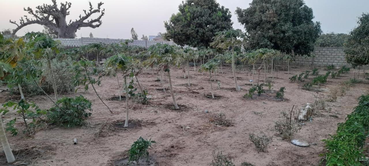 Saly Lrad Le Village Ngaring エクステリア 写真