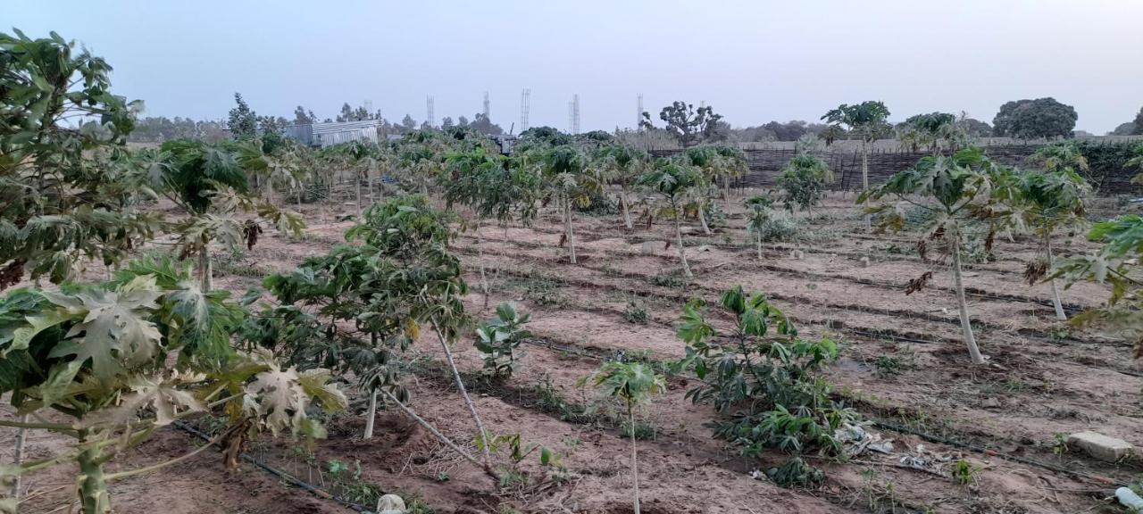Saly Lrad Le Village Ngaring エクステリア 写真